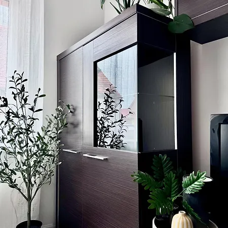 W Centrum Leby Zofia アパート *