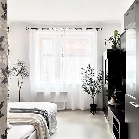 W Centrum Leby Zofia Apartment *