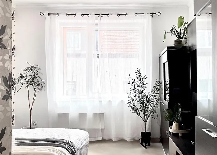 W Centrum Leby Zofia Apartman *